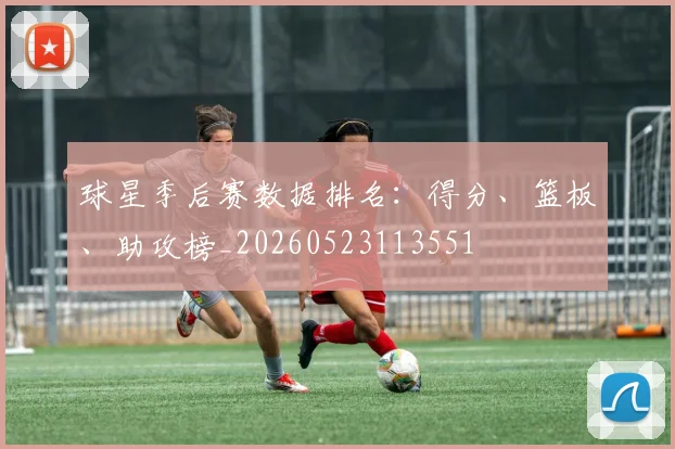 球星季后赛数据排名:得分、篮板、助攻榜_20260523113551