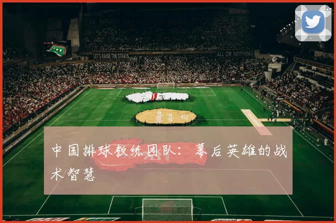 中国排球教练团队：幕后英雄的战术智慧